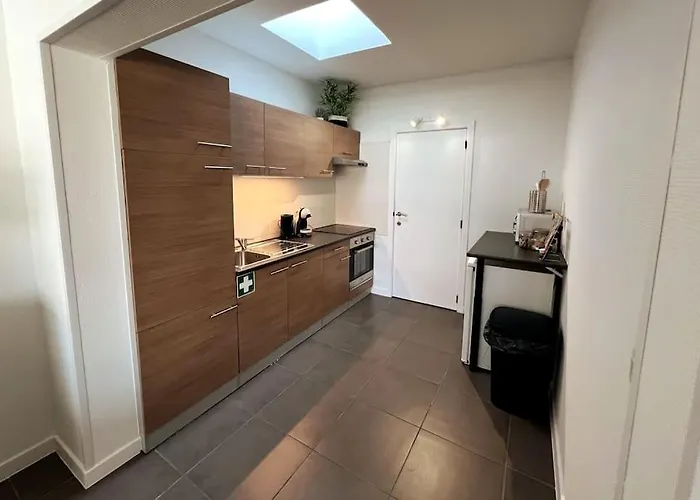 Bright, Spacious Nearby * 奥斯滕德